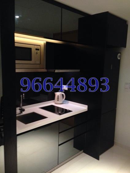 Vivace (D9), Apartment #165068312